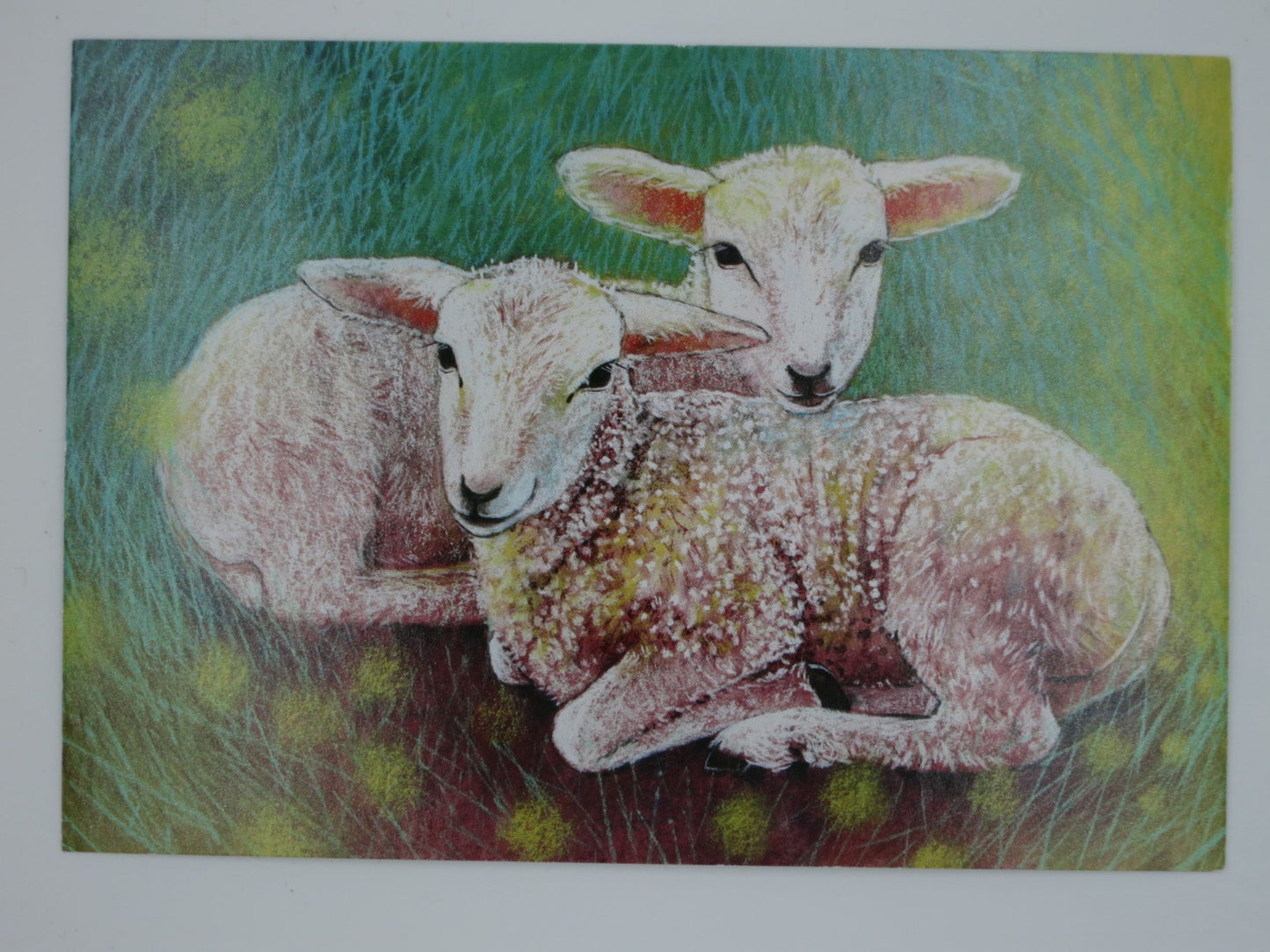 Zwei Lämmchen - Postkarte - Waldorf - Art.Nr.PKFR164