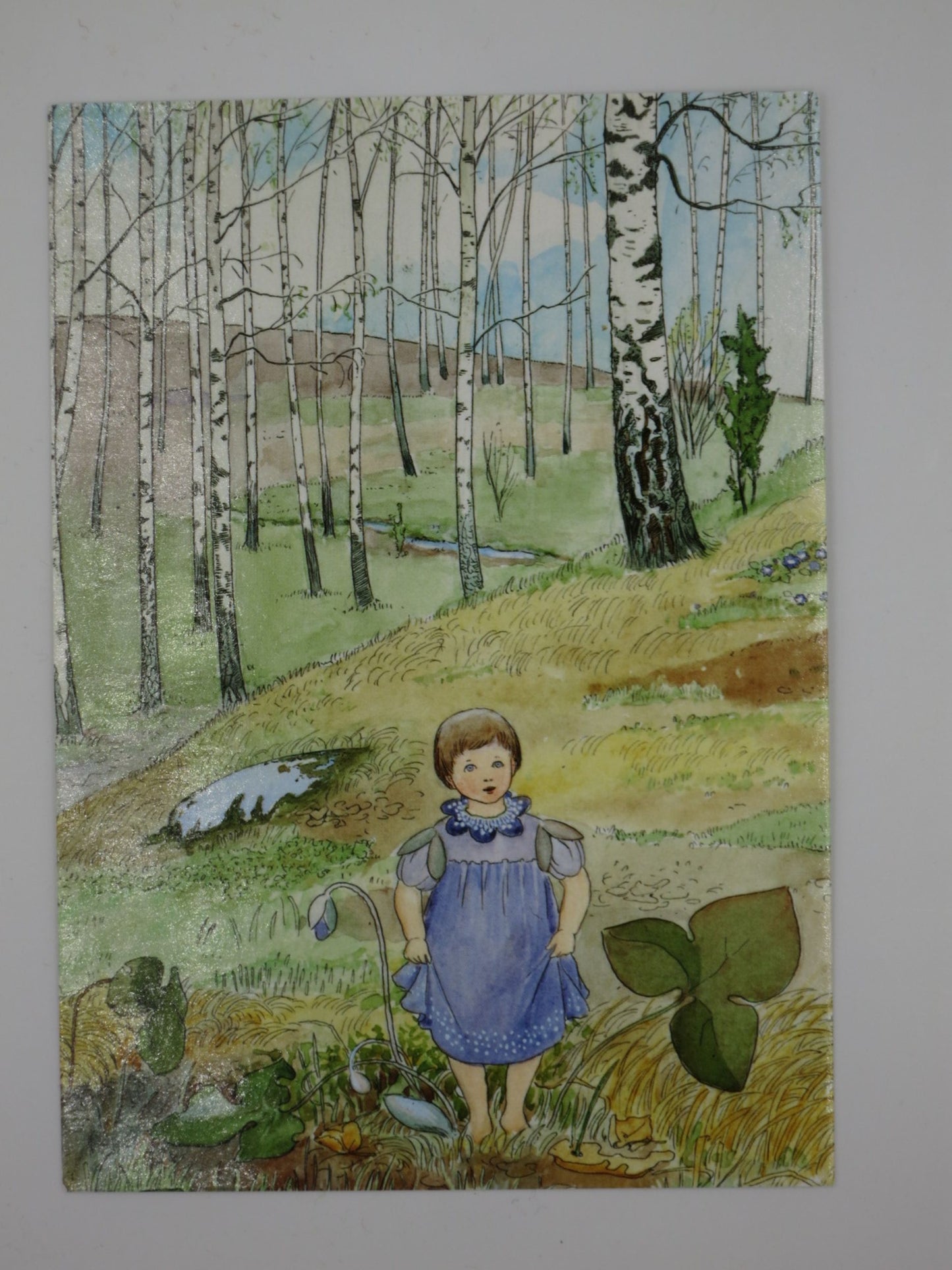 Frühling- Postkarte - Waldorf - Art.Nr.PKFR162