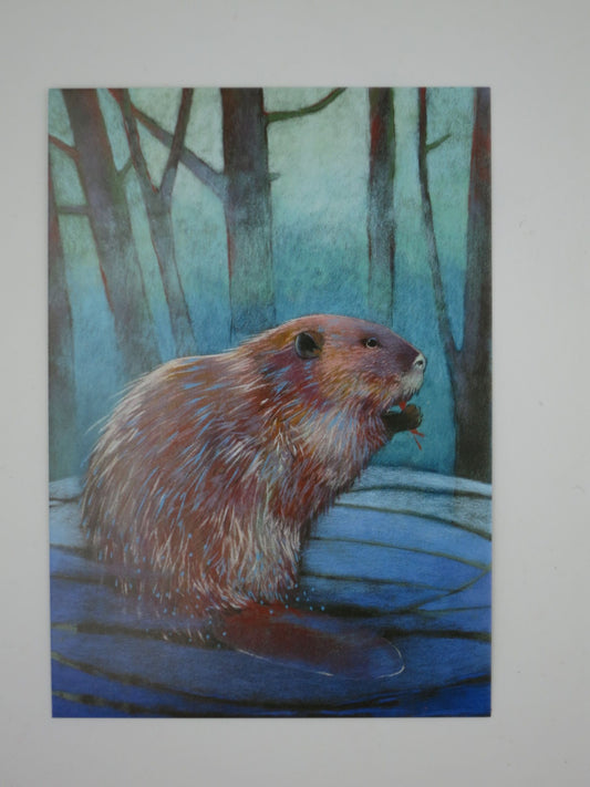 Der Biber - Postkarte  Art.Nr.PKSO264