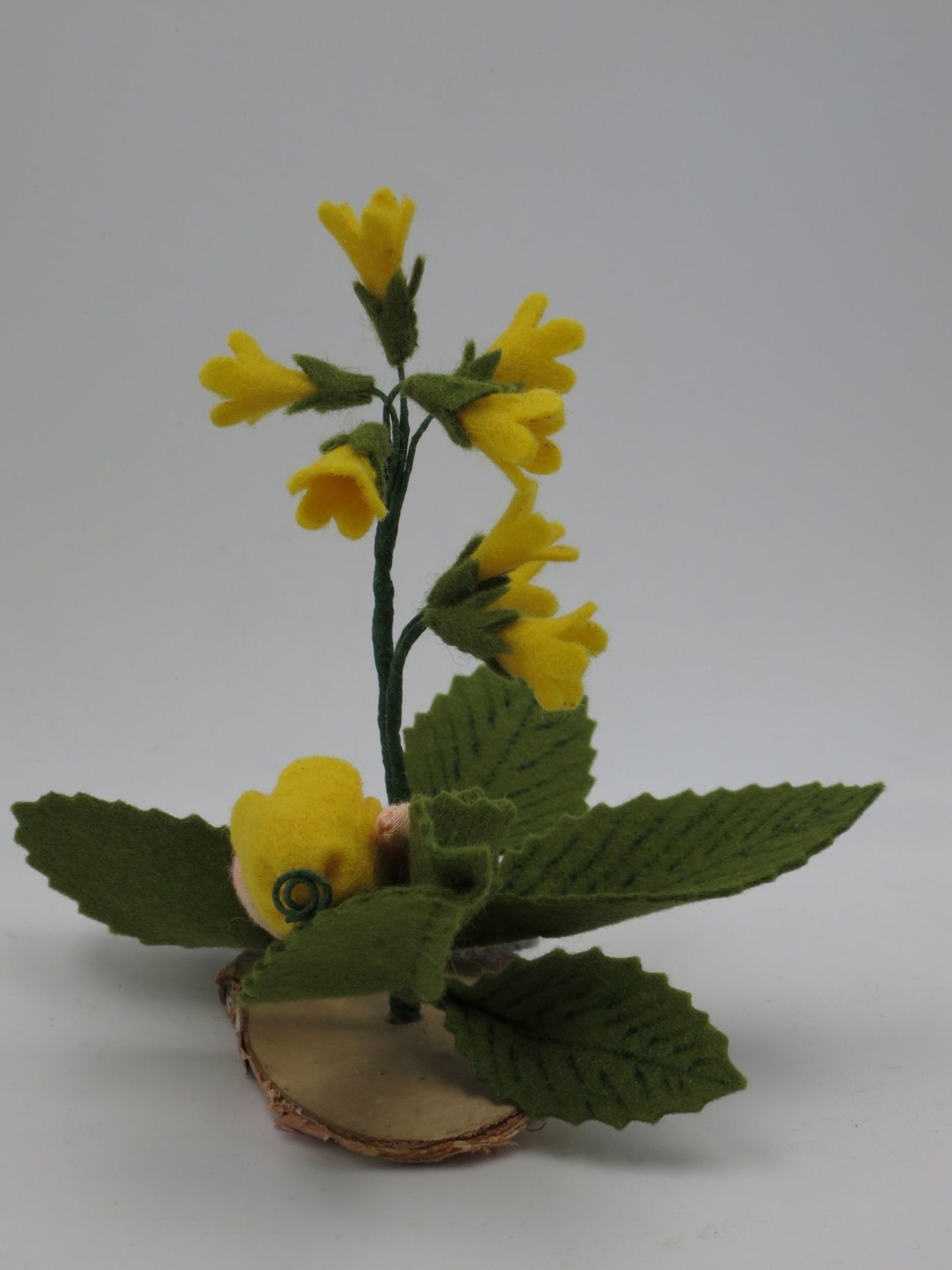 Schlüsselblumen Baby -Blumenkind -Jahreszeitentisch Art.FR69