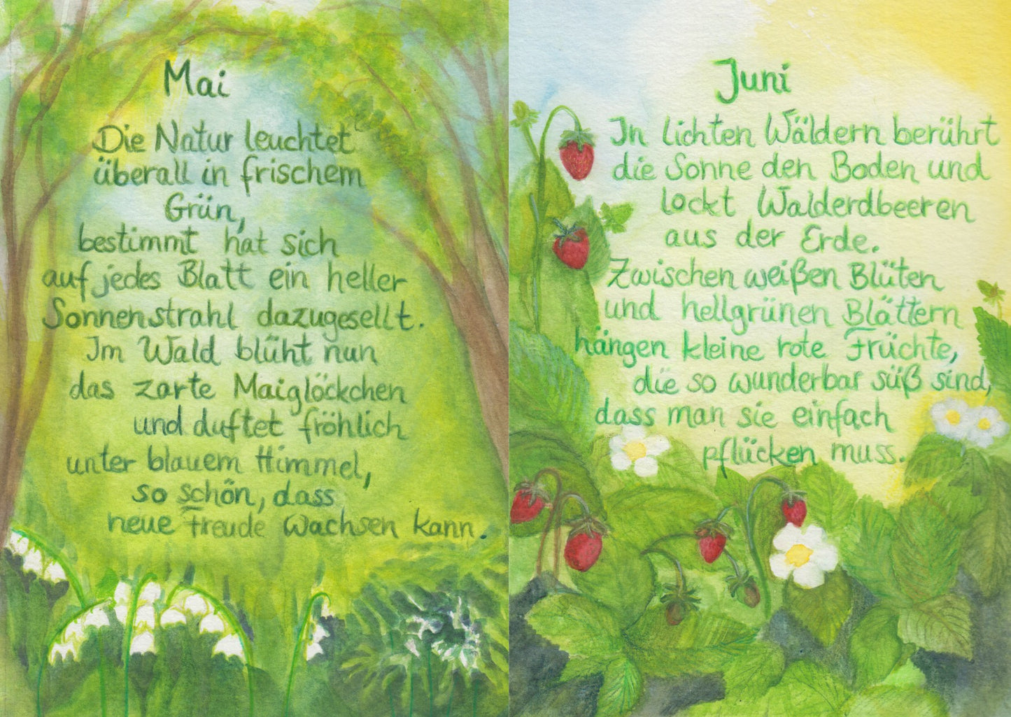 Monatskarten Set BilderSchublade - 12 Postkarten Art.PKS31