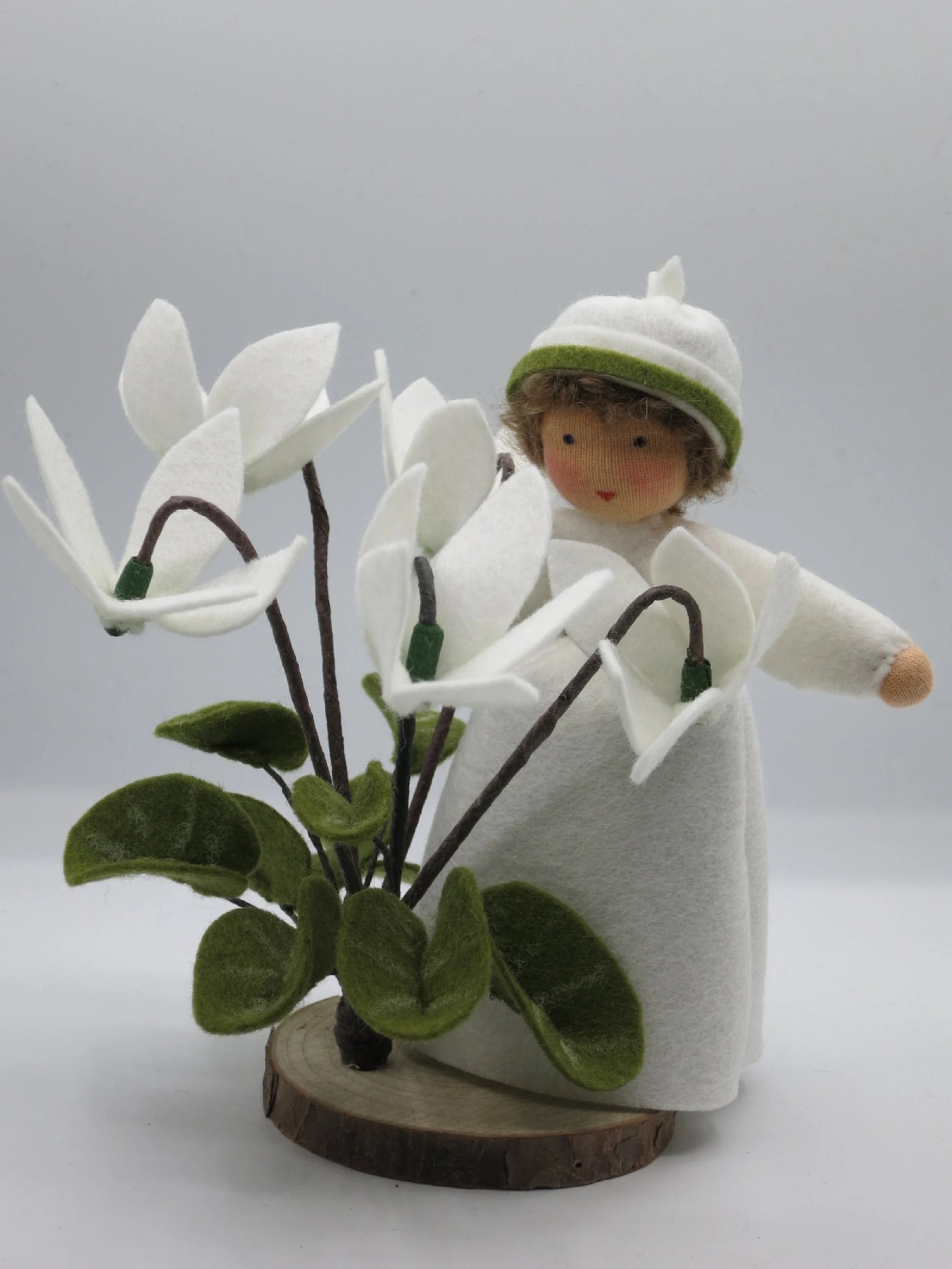 Alpenveilchen-Blumenkind in Weiß neben mehreren weißen Filzblüten und dunkelgrünen Blättern, Art. FR29.