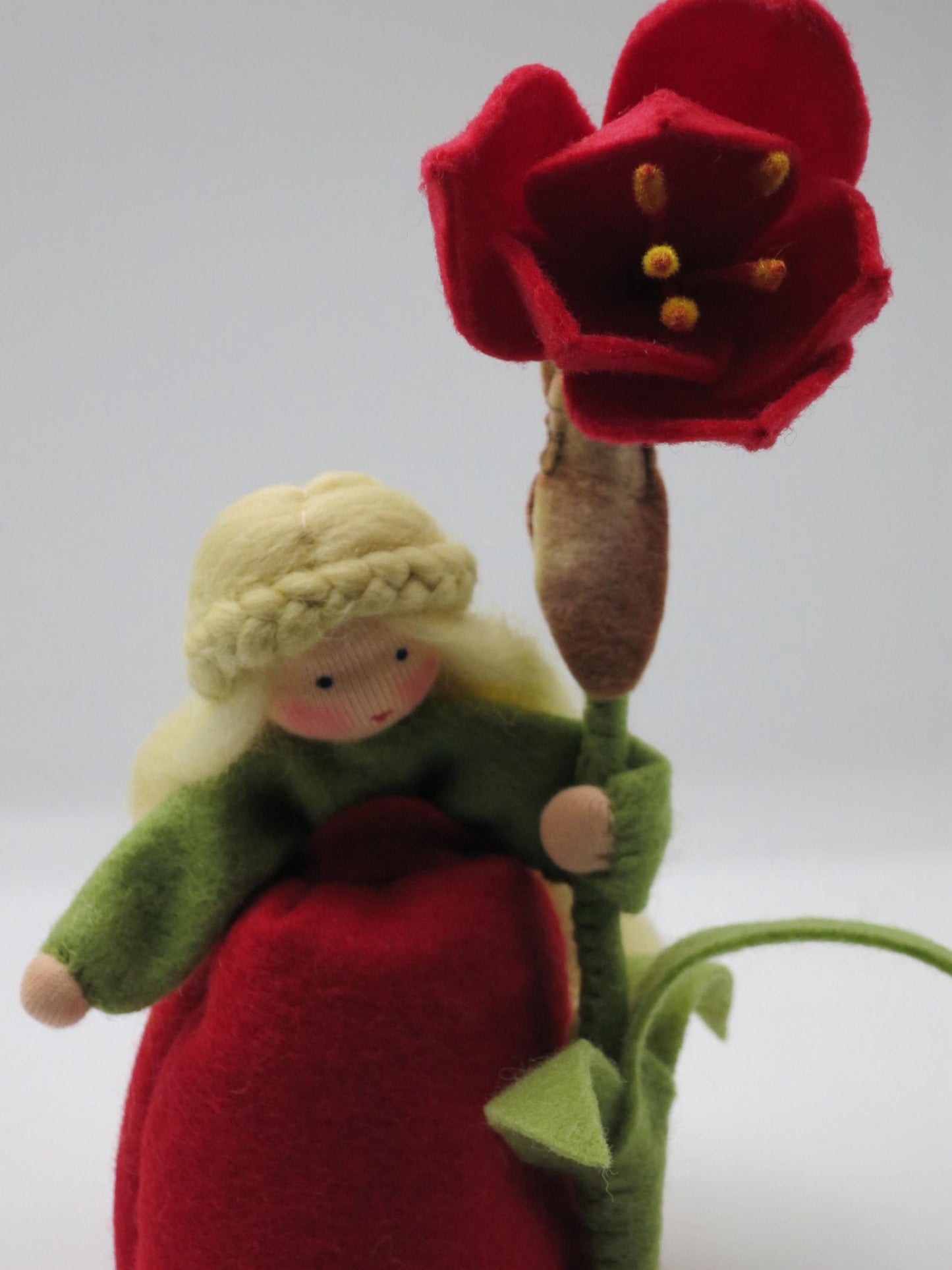 Vorderansicht des Amaryllis-Blumenkinds in Rot und Grün mit hochgehaltener dunkelroter Filzblüte.