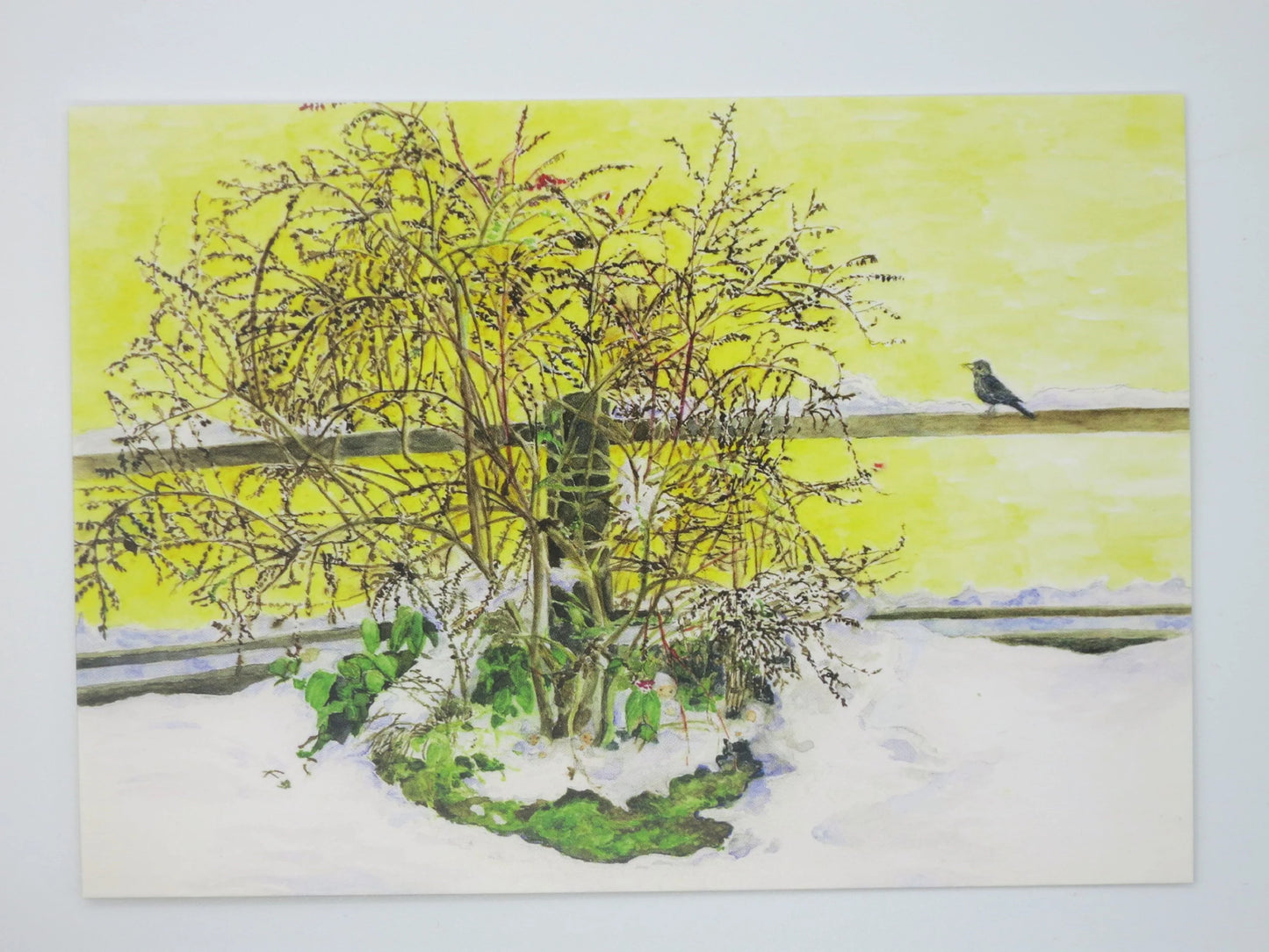 An einem Wintermorgen Kunst-Postkarte – Strauch mit Amsel im Wintergarten, Elisabeth Heuberger, Jahreszeitentisch