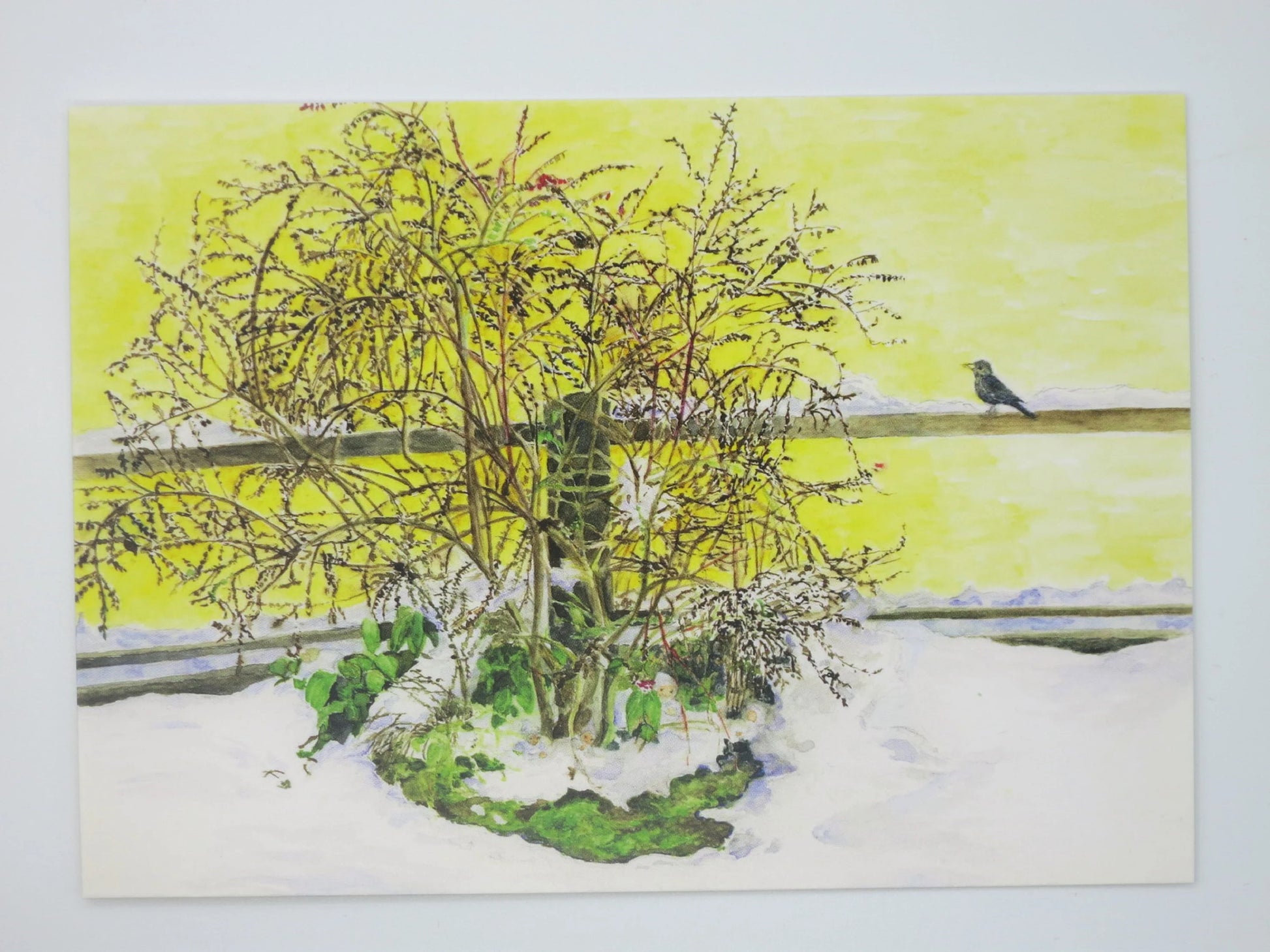 An einem Wintermorgen Kunst-Postkarte – Strauch mit Amsel im Wintergarten, Elisabeth Heuberger, Jahreszeitentisch
