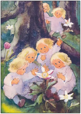 Anemonen - Postkarte - Waldorf  Art.Nr.PKFR145