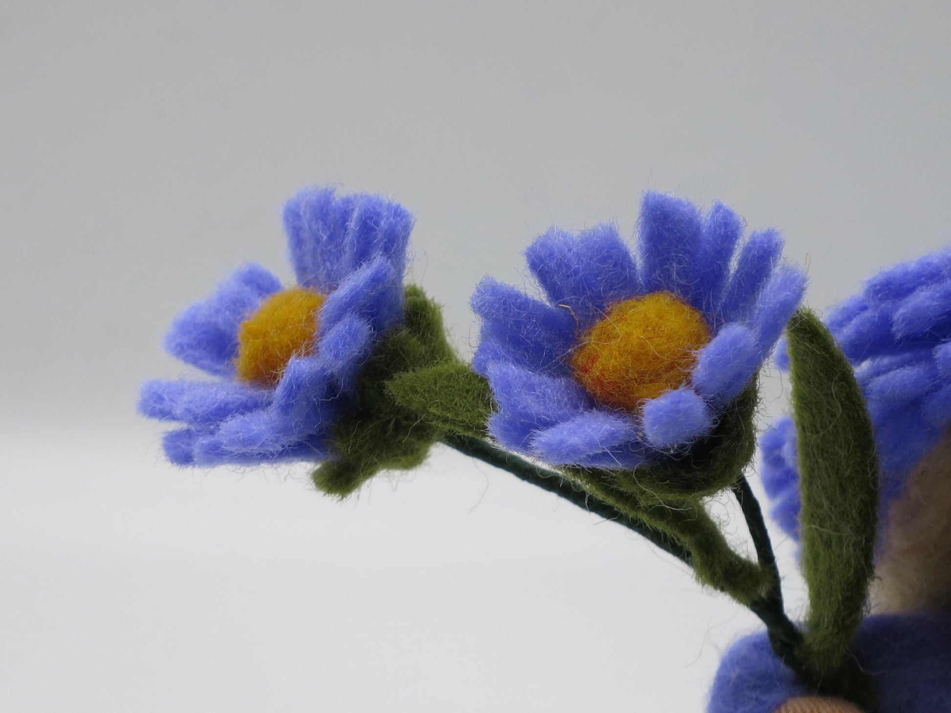 Detailaufnahme violetter Filz-Astern mit gelber Mitte und grünen Blättern am Blumenkind Art. HE54.