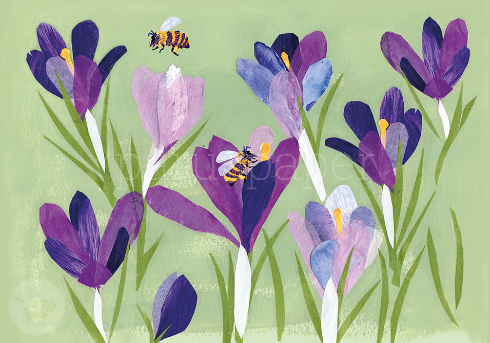 Postkarte Bienen lieben Krokusse: violette Krokusse mit Bienen – PKGR60