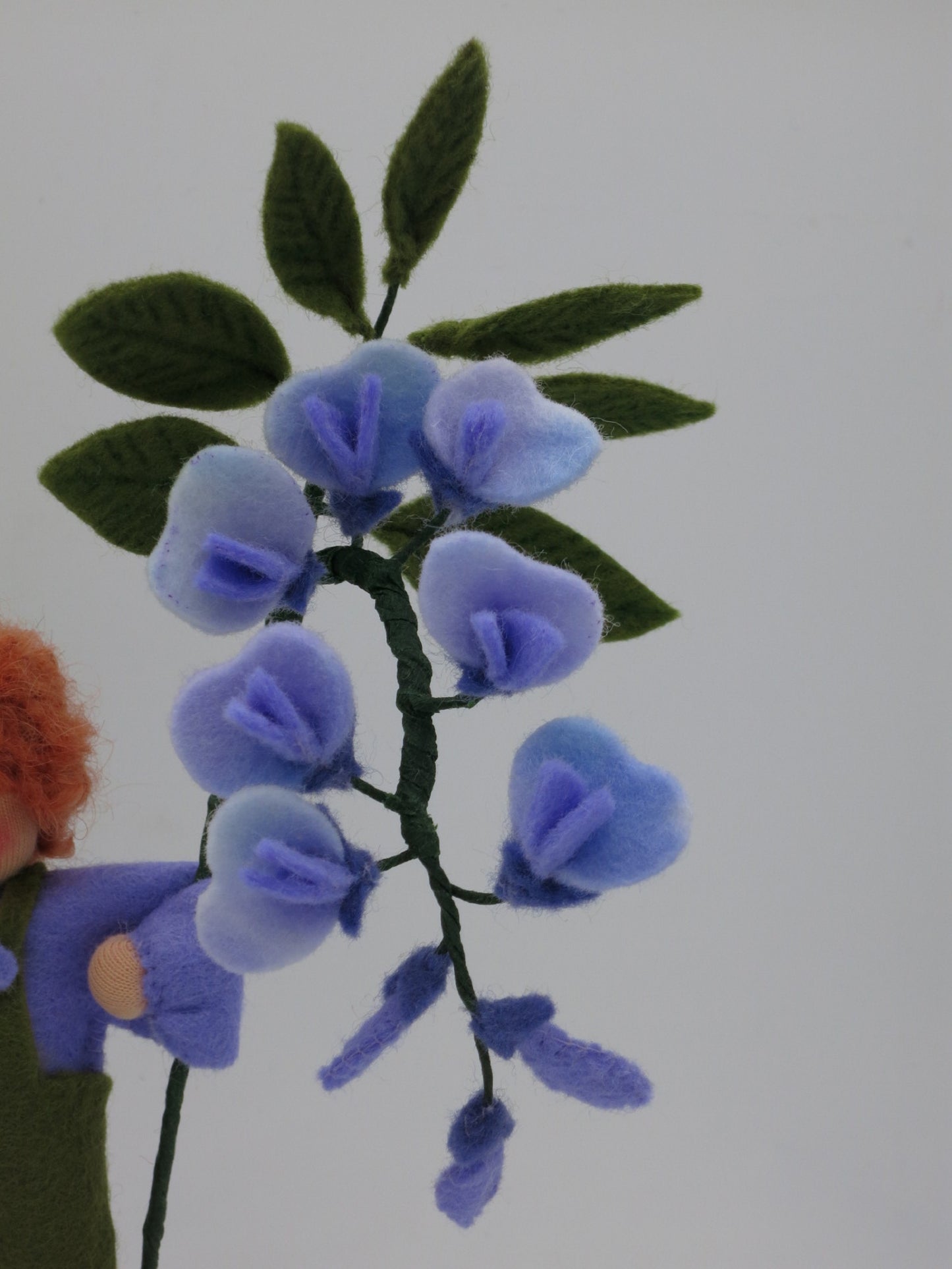 Detail des Blauregenzweigs mit violetten Filzblüten und dunkelgrünen Blättern in der Hand des Blumenkinds.