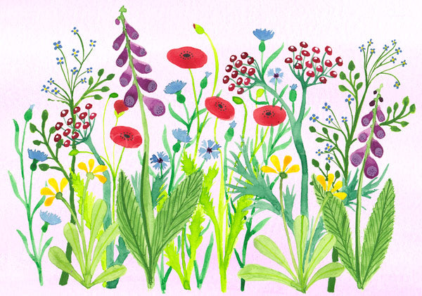 Postkarte Blumenwiese mit Mohn, Kornblume und Fingerhut – PKGR69