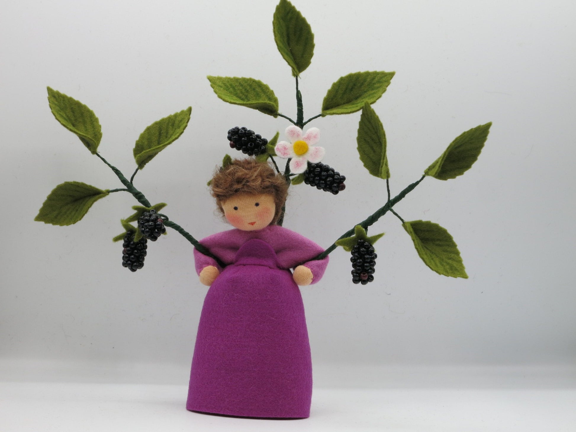 Gesamtansicht des Brombeer-Blumenkinds mit weit verzweigtem Filzstrauch, grünen Blättern, Blüte und reifen Beeren.