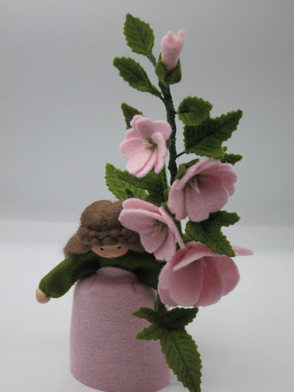 Vorderansicht des Buschmalve-Blumenkinds hinter einem üppigen Zweig mit rosa Filzblüten und grünen Blättern