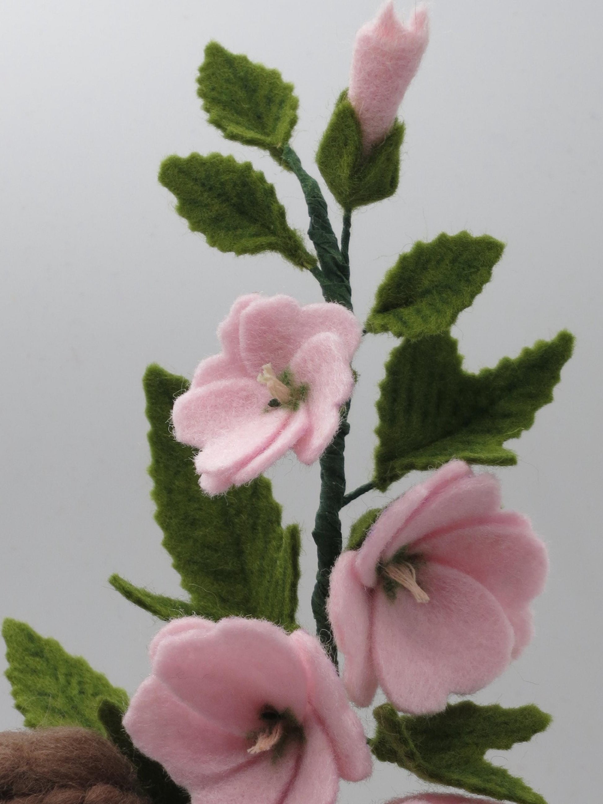 Nahaufnahme des Buschmalvenzweigs mit rosa Filzblüten, Knospe und gezackten grünen Blättern in Handarbeit