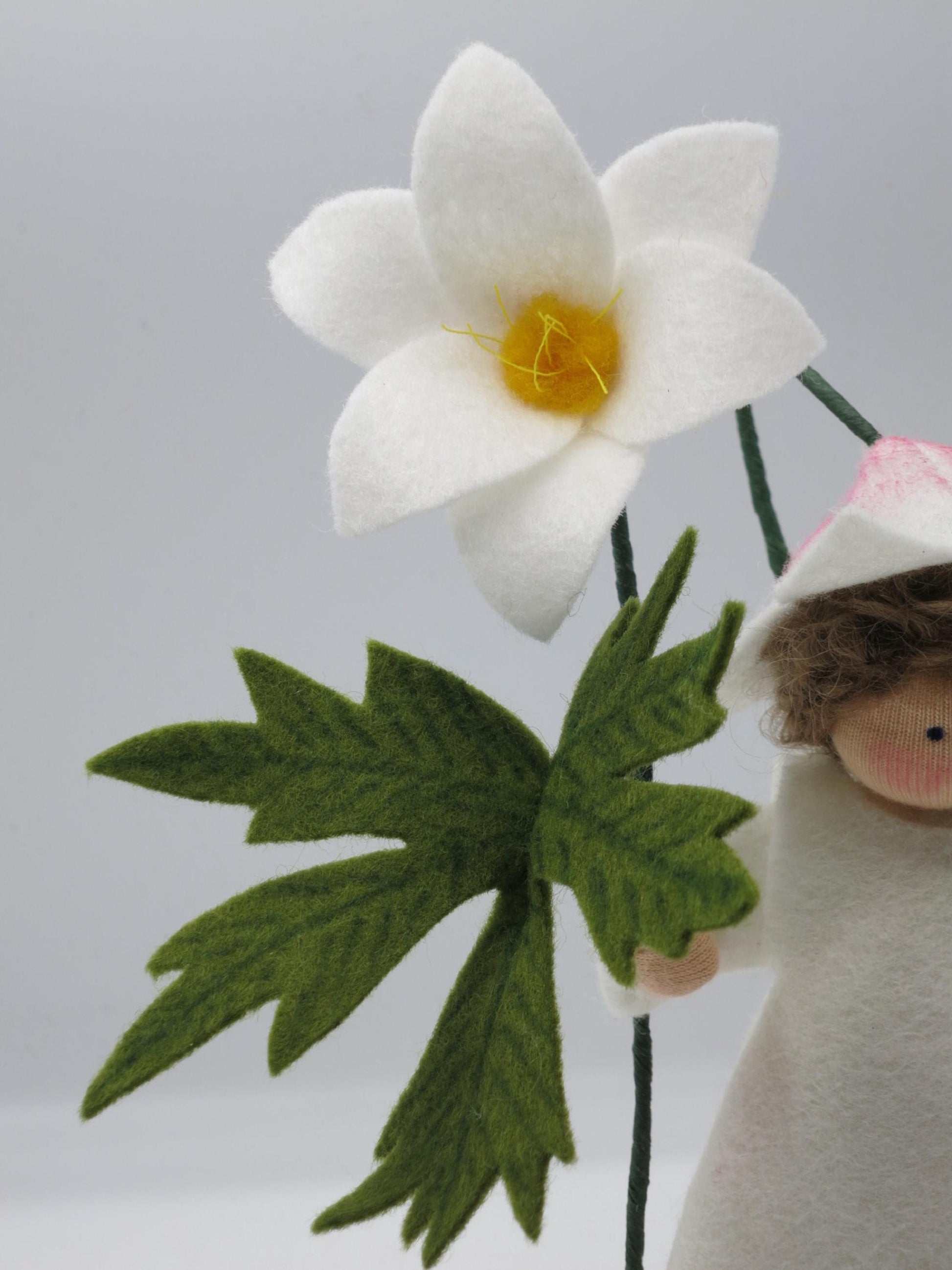 Detail der weißen Buschwindröschen-Blüte aus Filz mit gelber Mitte und tief gelapptem grünem Blatt