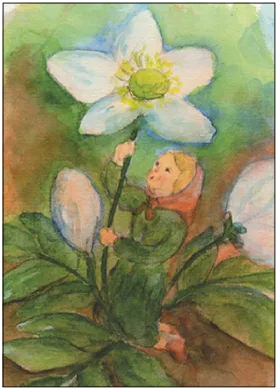 Christrosenkind - Postkarte  - Waldorf Art.Nr.PKWI273