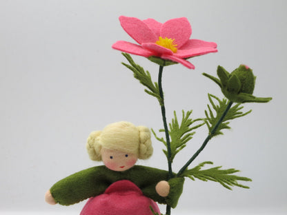 Cosmea-Blumenkind mit rosa Schmuckkörbchen-Blüte, grüner Knospe und feinem Blattwerk für den Sommer-Jahreszeitentisch
