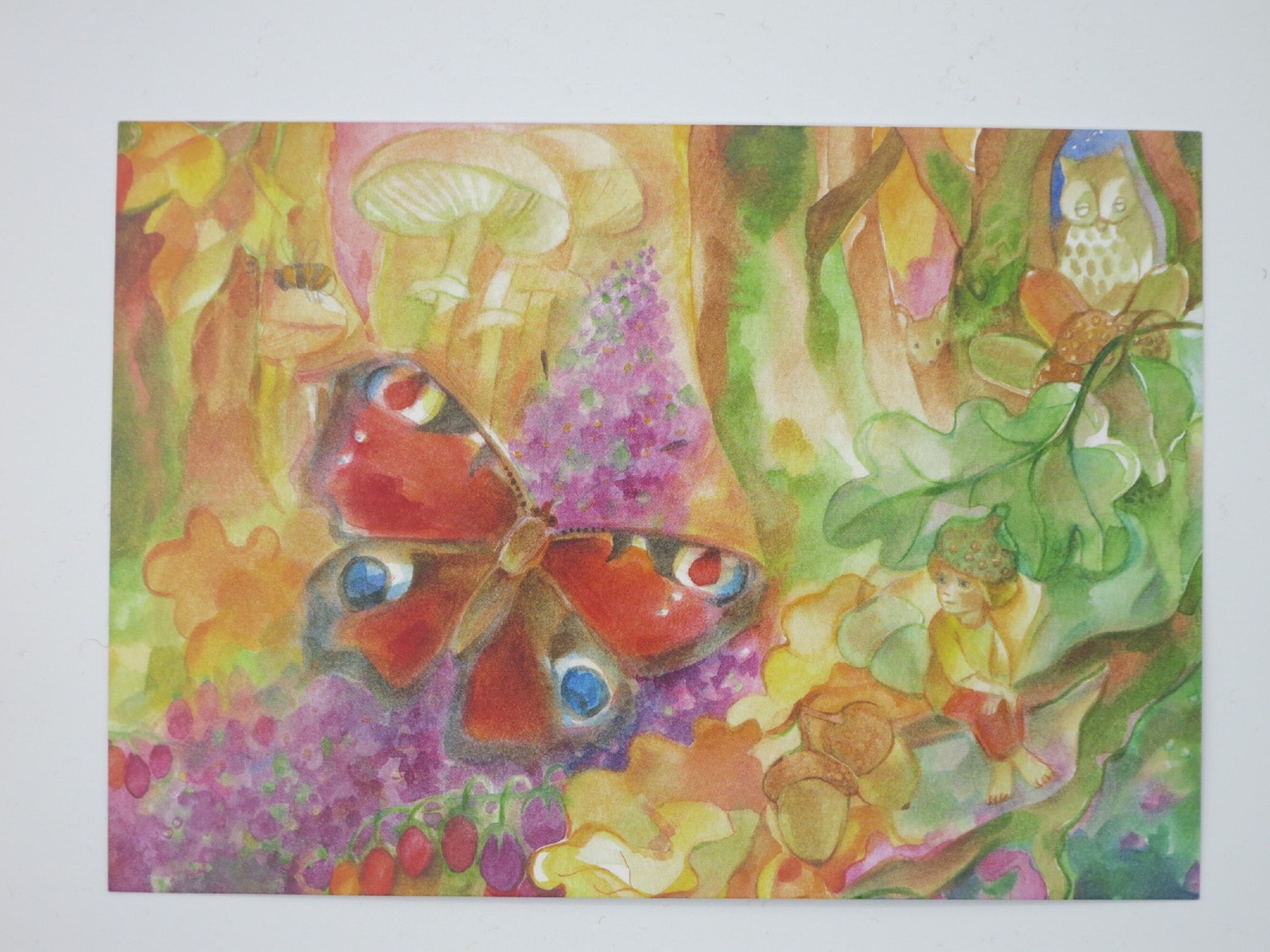 Herbst Postkarte Der kleine Wichtel von Marie Laure Viriot: Tagpfauenauge, Eule und Wichtel mit Eichelmuetze im Herbstwald