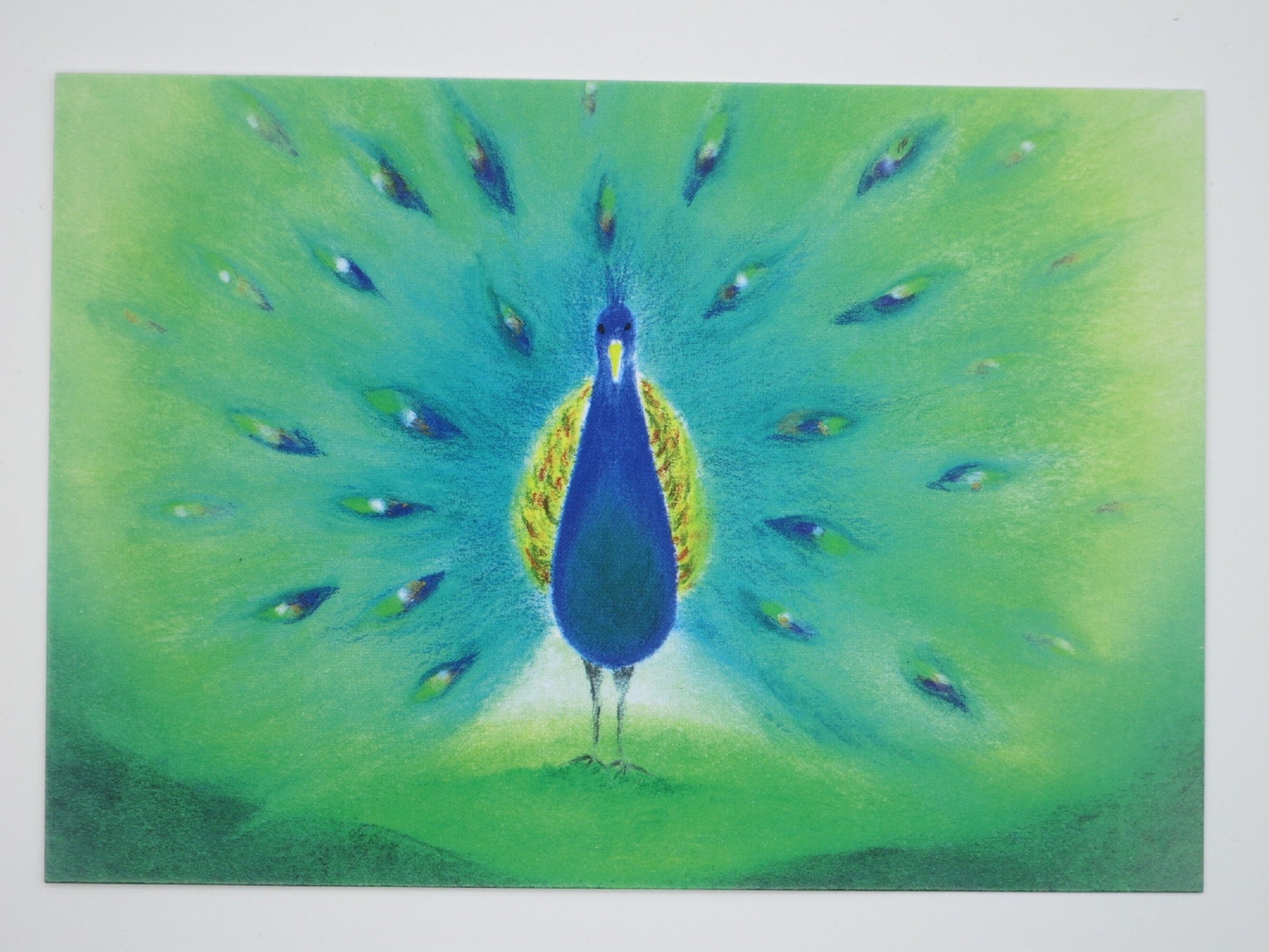 Postkarte Der Pfau von Baukje Exler: Pfau mit vollstaendig aufgefaechertem Rad in Gruen-Blau