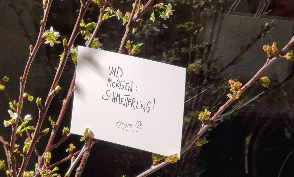Schmetterling - Postkarte von eDITION GUTE GEISTER