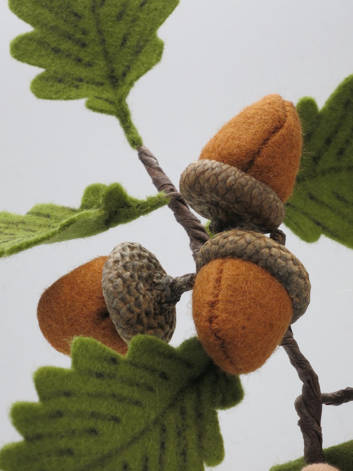 Detailaufnahme von Filz-Eicheln und Eichenblättern am Eichenzweig des Eichel-Jungen für herbstliche Waldorf-Dekoration.
