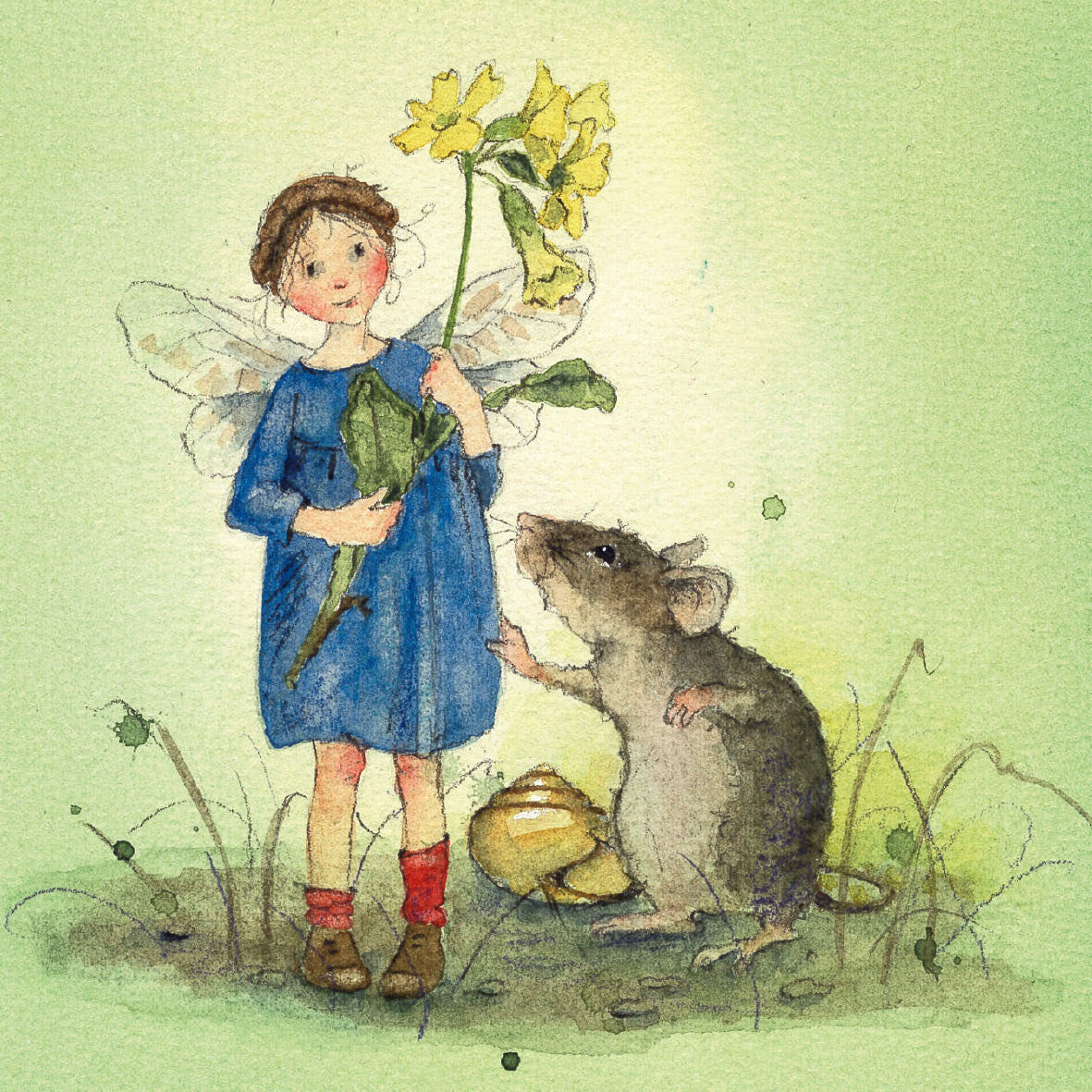 Postkartenbuch "Elfenträume" 15 Postkarten von Daniela Drescher- Waldorf - PKS13