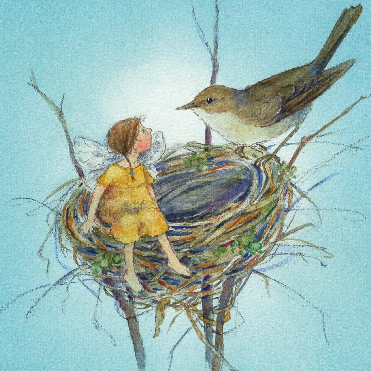 Postkartenbuch "Elfenträume" 15 Postkarten von Daniela Drescher- Waldorf - PKS13