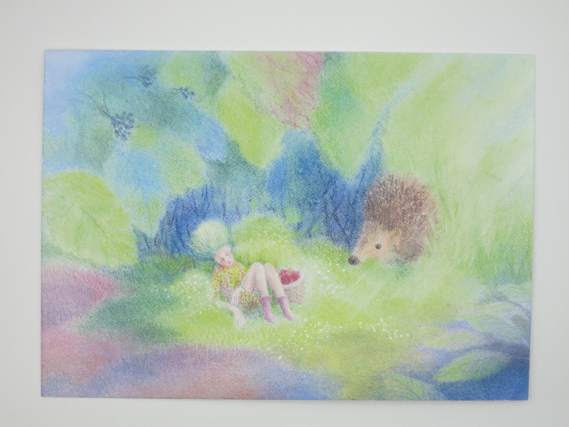 Waldorf Postkarte Elfe und Igel von Monika Speck mit schlafender Elfe und neugierigem Igel im Gras