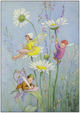 Postkarte Elfen auf Blumen – drei Blumenelfen auf Margeriten, Illustration von Margaret W. Tarrant