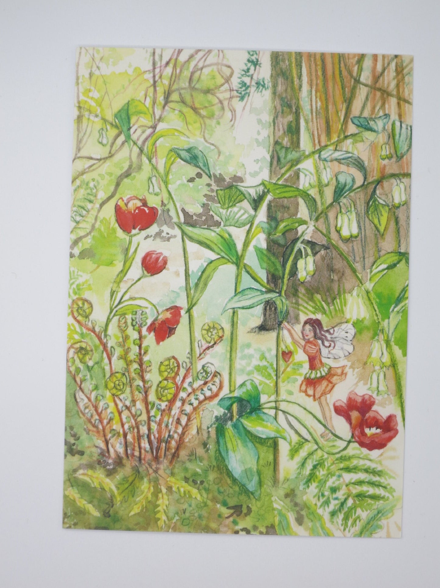 Waldorf Postkarte Elfenwald von Anne C. Wenzel mit Elfe zwischen Tulpen und jungen Farnwedeln