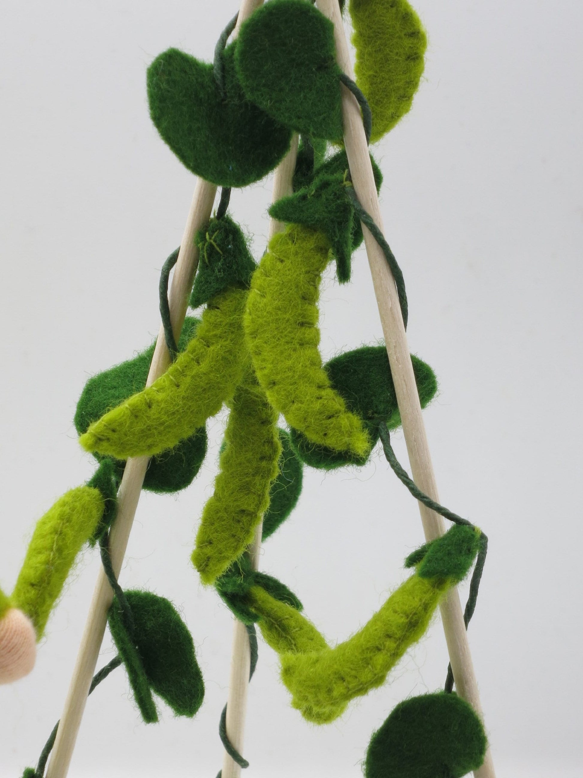 Porträt der Erbsenranke aus Wollfilz mit langen grünen Schoten als Detail der sommerlichen Gemüsegarten-Dekoration.