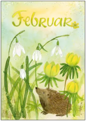 Februar - Monatspostkarte  - Waldorf Art.Nr.PKWI262