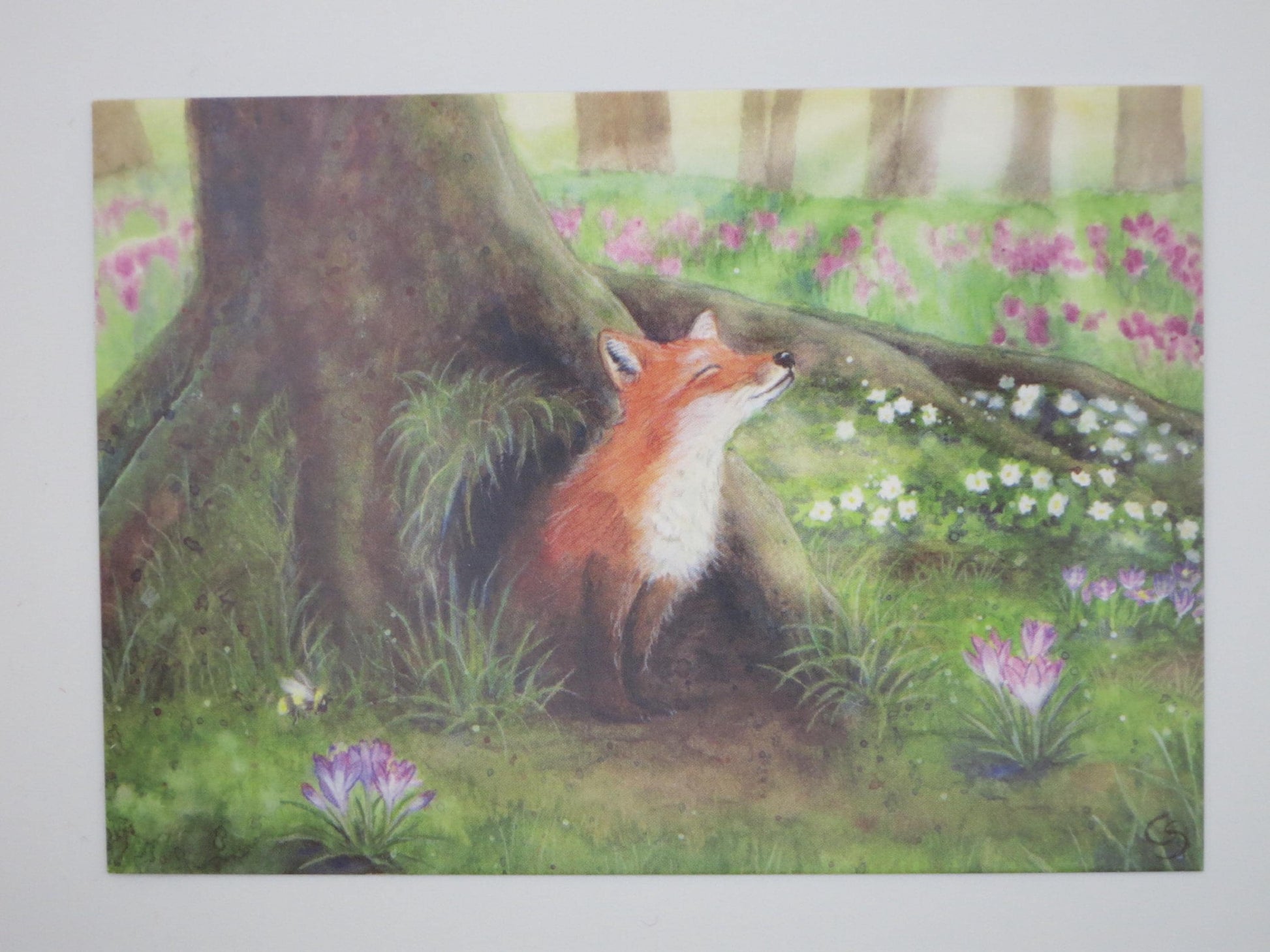 Fuchs ruht am Baumstamm zwischen Krokussen und Buschwindröschen, Postkarte von Corinna Schwerdtfeger, Art. PKFR52