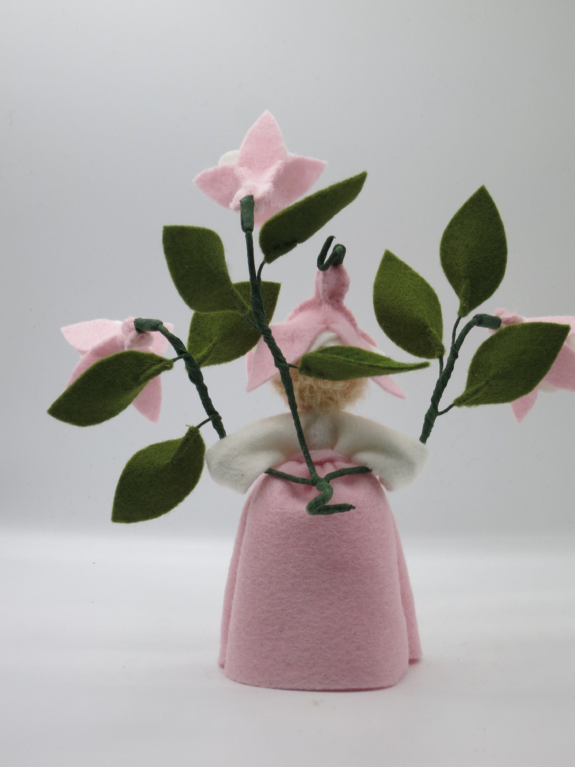Rückansicht des rosafarbenen Blumenkinds mit grünen Blättern und rosa Fuchsienblüten