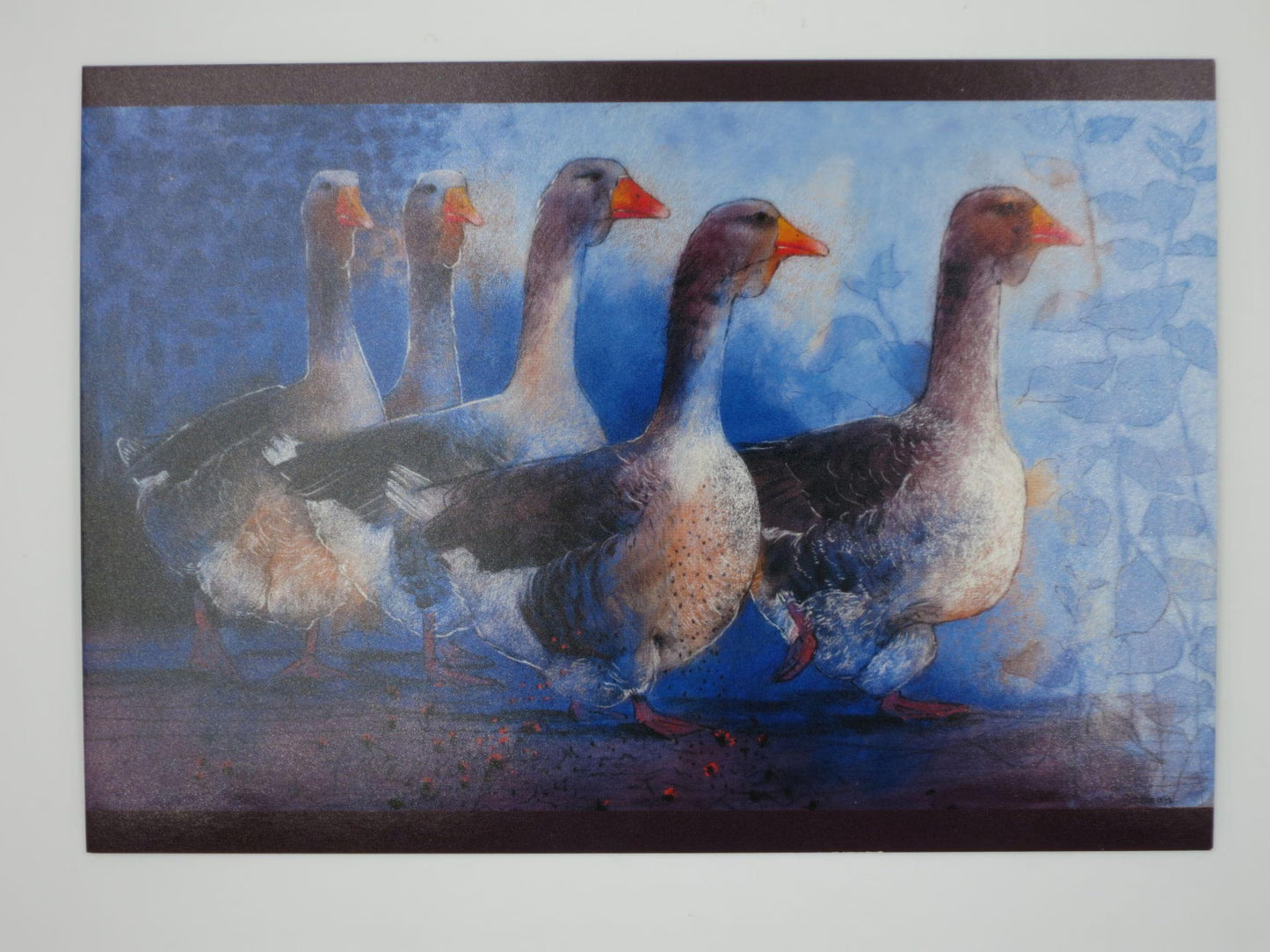Im Gänsemarsch - Postkarte Art.PKFR113
