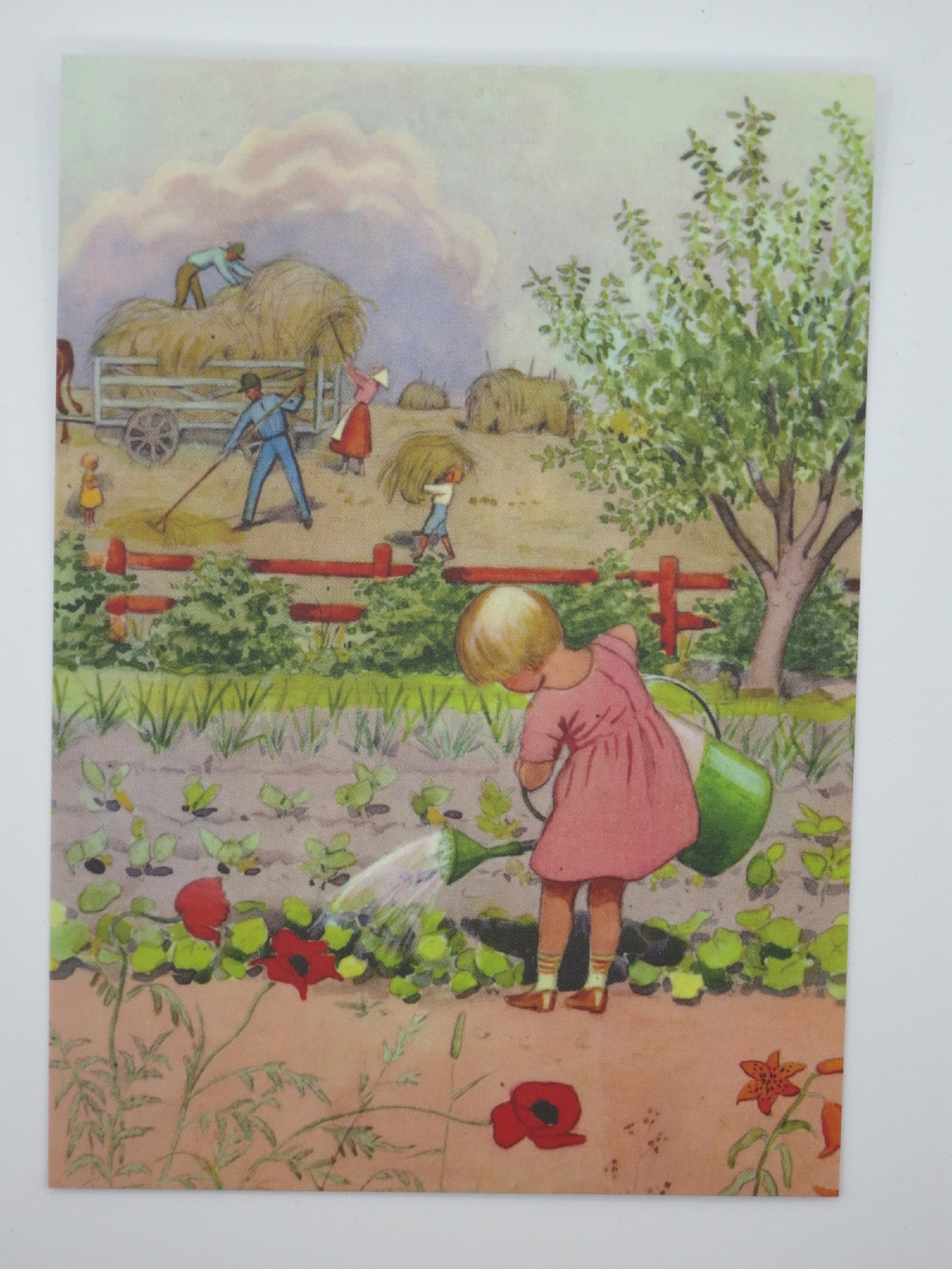 Postkarte Gartenarbeit von Elsa Beskow: Maedchen giesst Gemuesebeet, Heuernte im Hintergrund