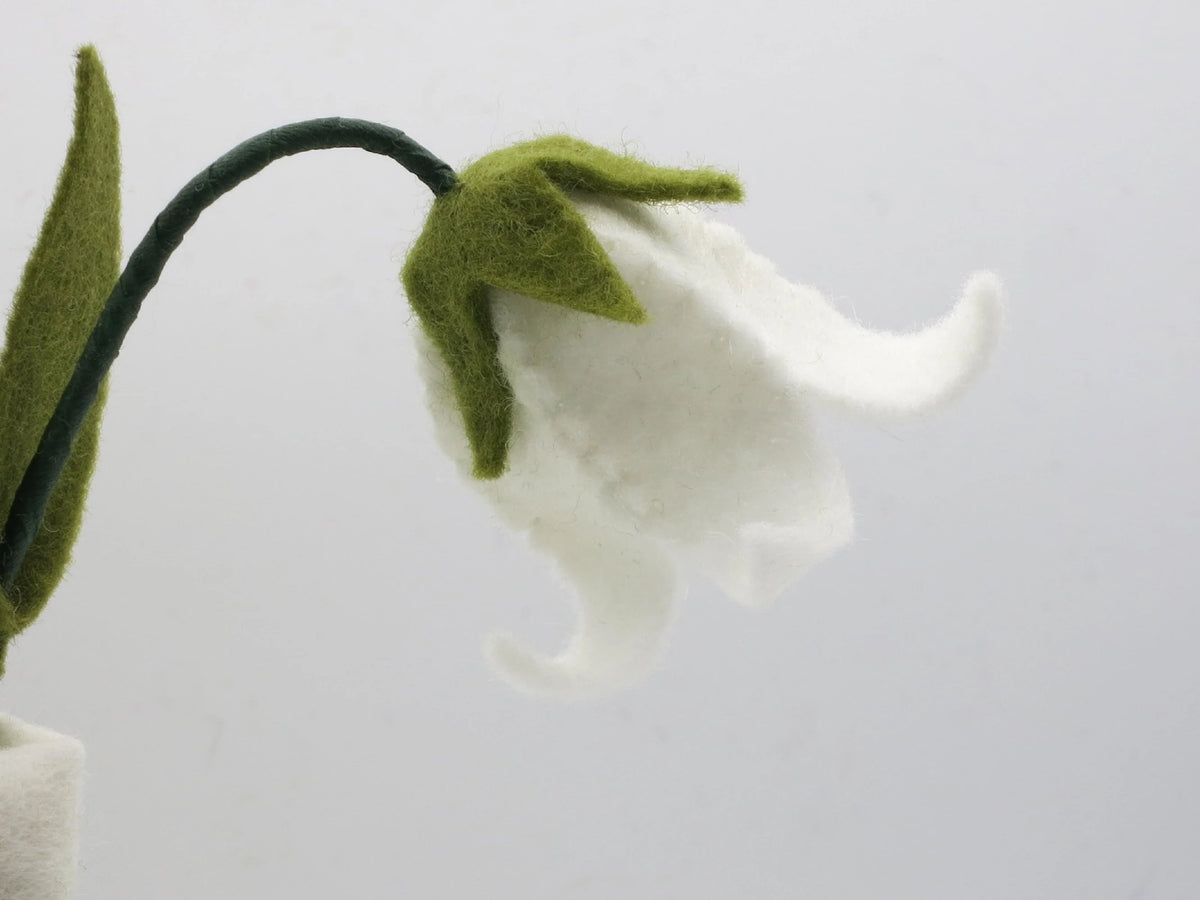 Glockenblume-Blumenkind seitlich mit grünem Blatt und weißer Blütenglocke