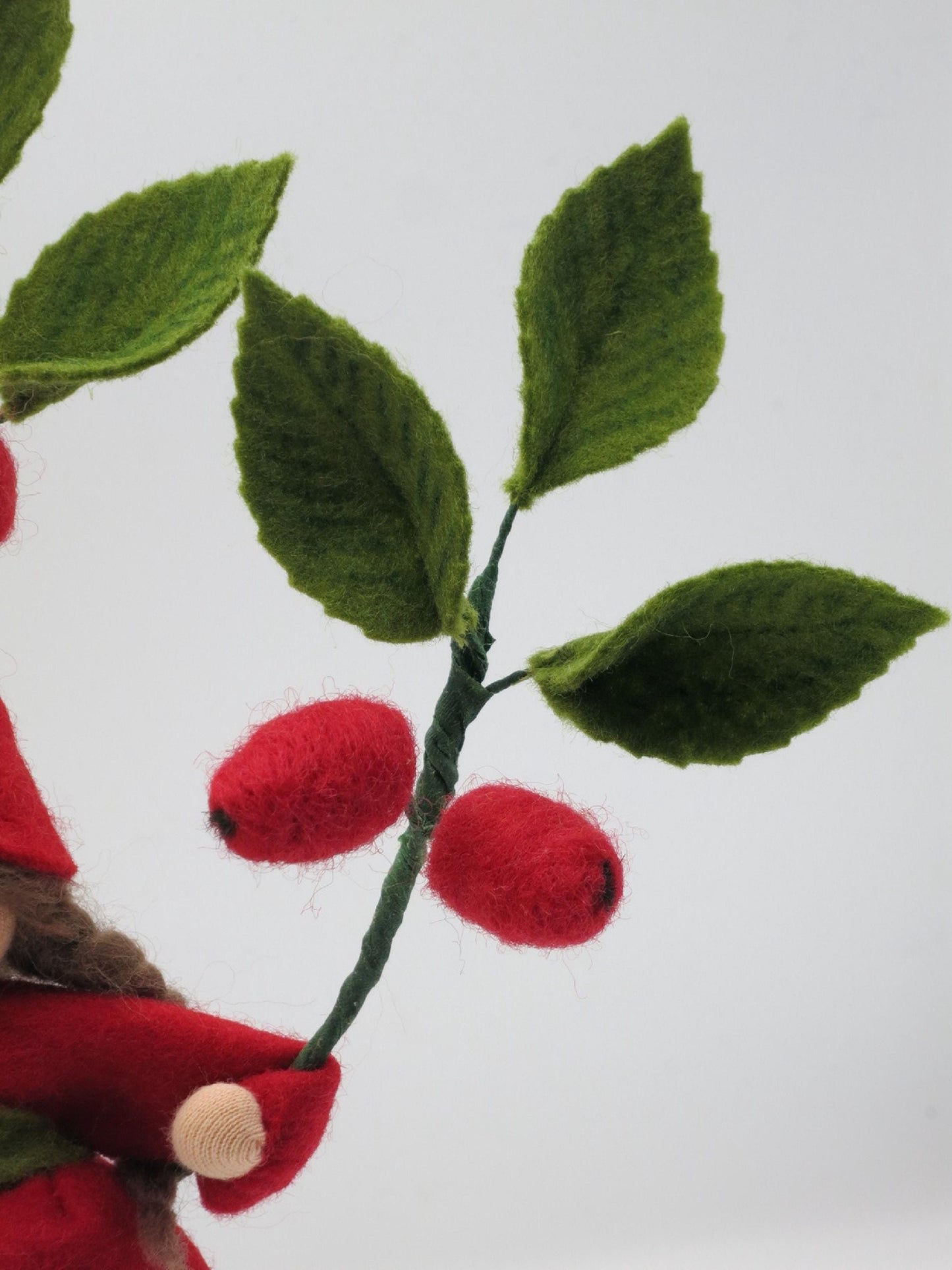 Rote Filz-Hagebutten am Zweig mit dunklem Kelchrest an der Spitze, Herbst-Blumenkind, Art. HE22