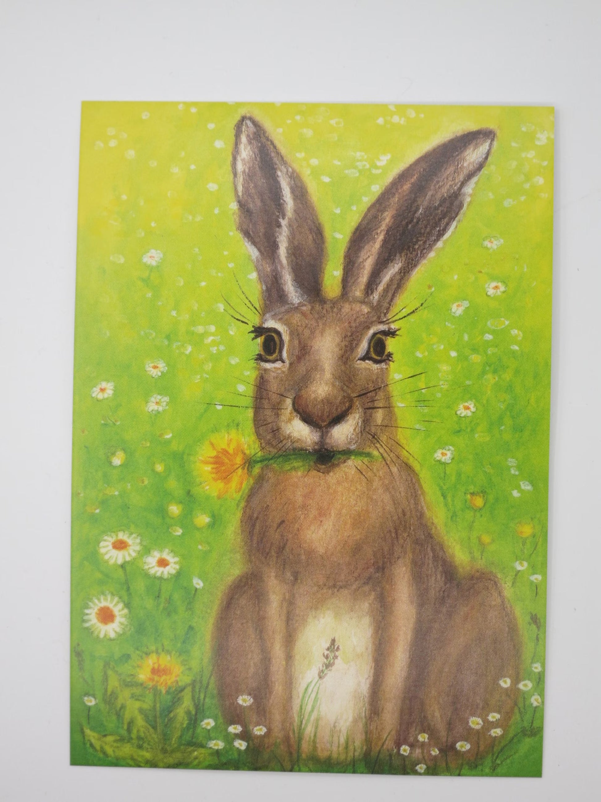 Waldorf-Postkarte 'Hase mit Löwenzahn': Hase frisst Löwenzahnblüte in der Gänseblümchenwiese