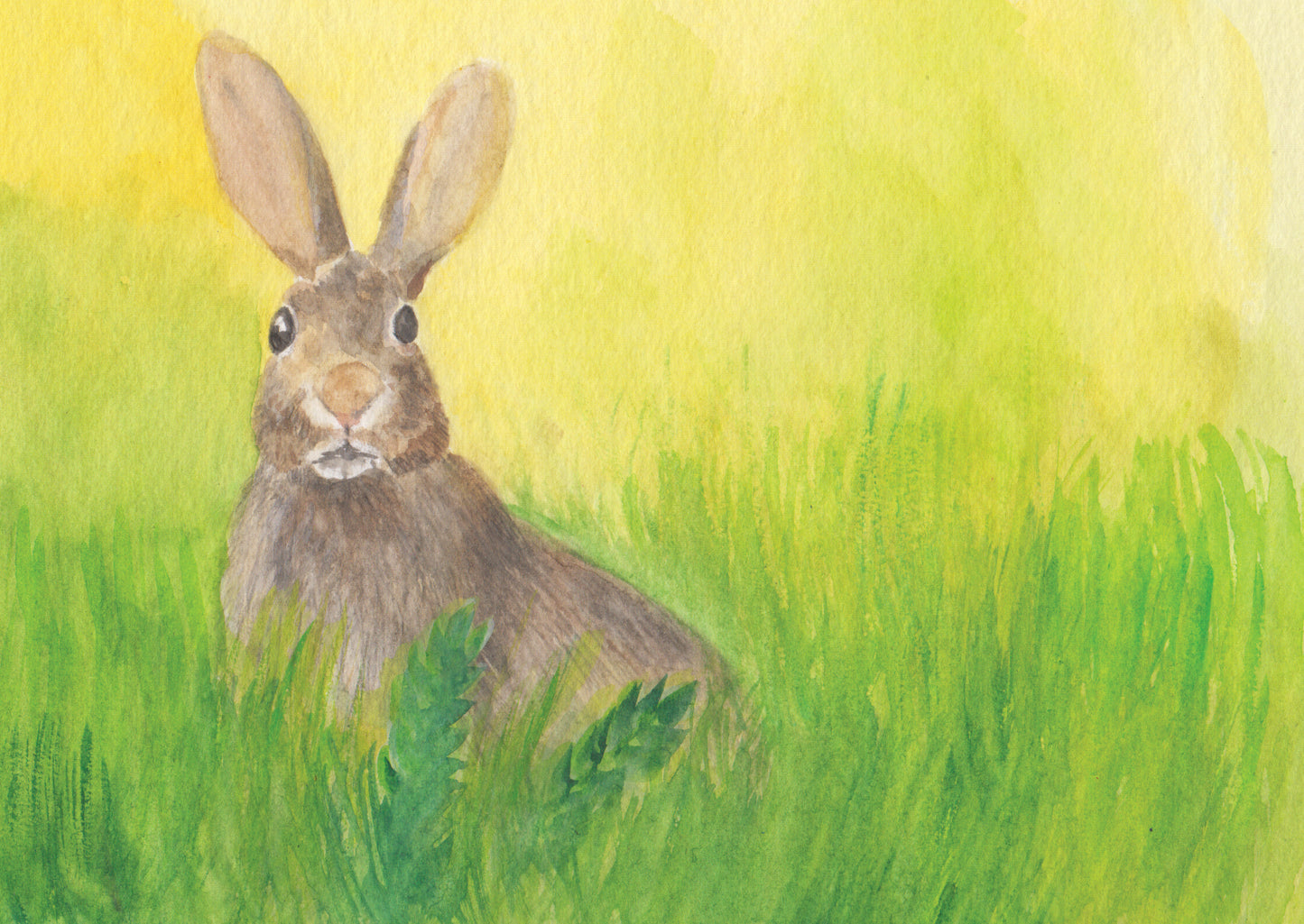 Waldorf-Postkarte 'Hase': Hasenporträt mit aufgestellten Ohren im hohen Gras