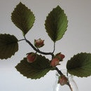Haselnuss Blumenkind aus Wollfilz mit Haselnusszweig, Waldorf-Jahreszeitentisch, Art. HE38