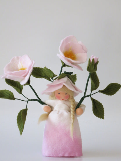 Nahaufnahme der Heckenrosen-Blüten mit gelben Wollfaser-Staubgefäßen am Wollfilz-Blumenkind.