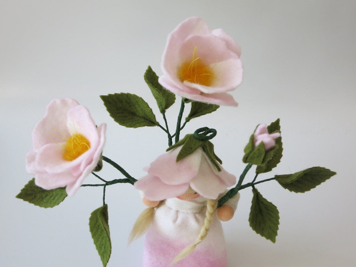 Seitenansicht des Heckenrose-Blumenkindes mit Blütenzweig, Knospe und gesägten Rosenblättern.