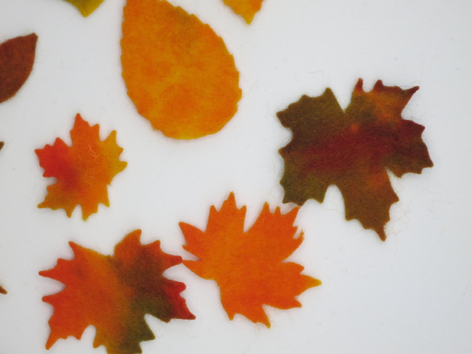 Herbstblaetter aus Woll-Maerchenfilz, Nahaufnahme Ahorn- und Eichenblattformen, Art. HE4