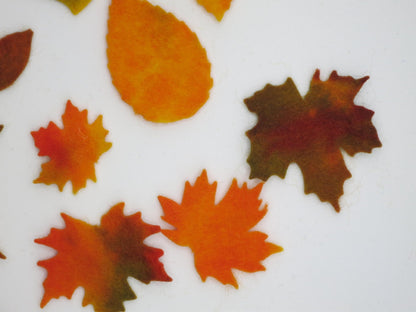 Herbstblaetter aus Woll-Maerchenfilz, Nahaufnahme Ahorn- und Eichenblattformen, Art. HE4