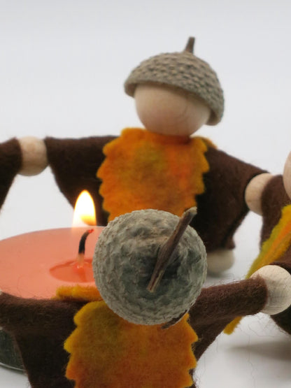 Nahaufnahme eines Herbstwichtels mit echtem Eichelhuetchen und orangefarbenem Filzblatt, Art. HE29