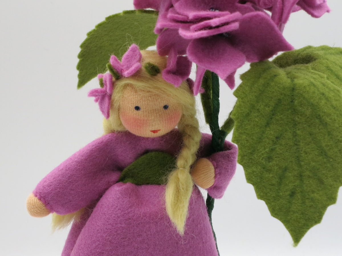 Detailaufnahme der lila-magentafarbenen Hortensien-Blüten mit kleinen Perlen.