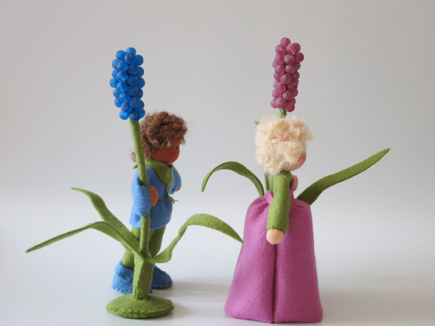 Zwei Hyazinthe-Blumenkinder von hinten mit blauer und rosa Traubenblüte und grünen Filzblättern
