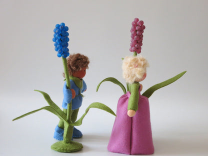 Zwei Hyazinthe-Blumenkinder von hinten mit blauer und rosa Traubenblüte und grünen Filzblättern