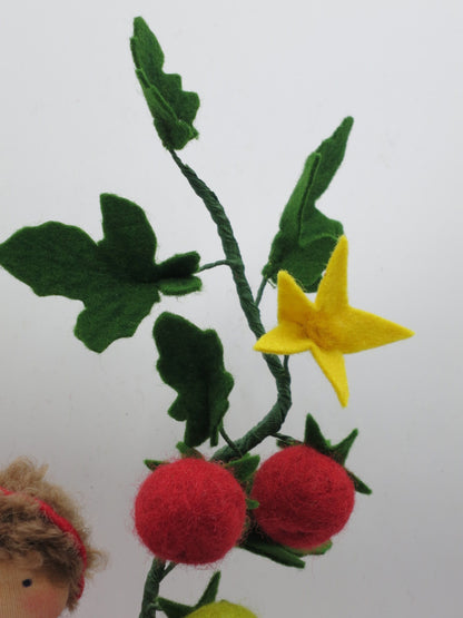 Tomate - Blumenkind -Jahreszeitentisch  - Art. SO60