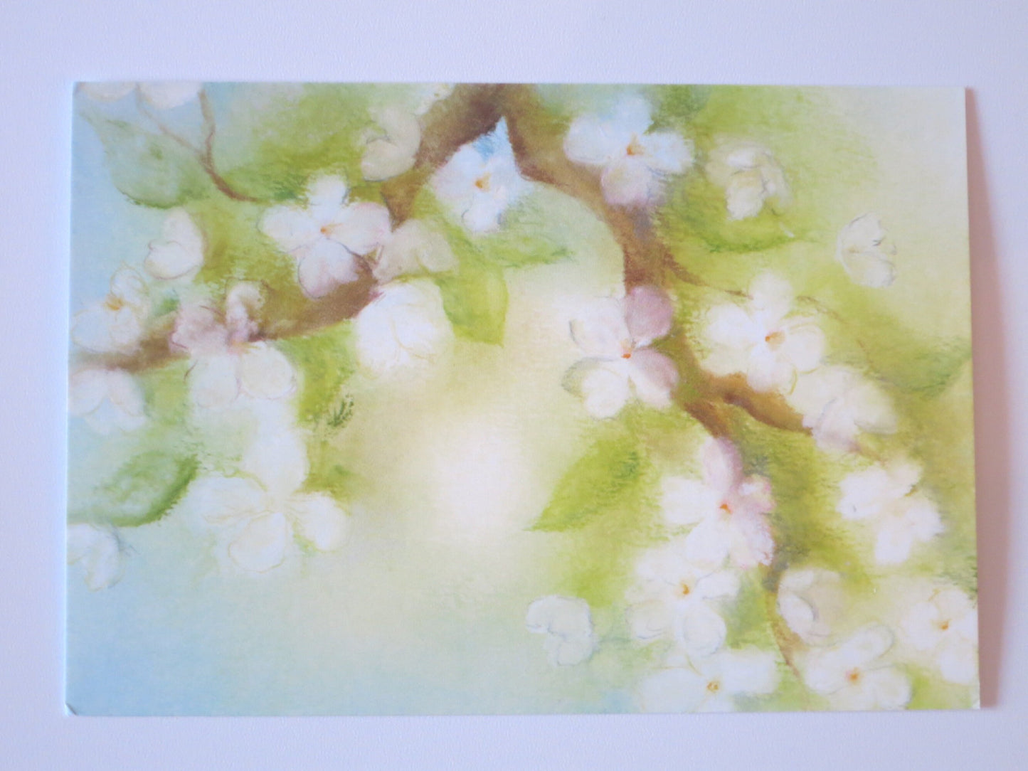 Blütenzweig - Postkarte -Art.PKFR116